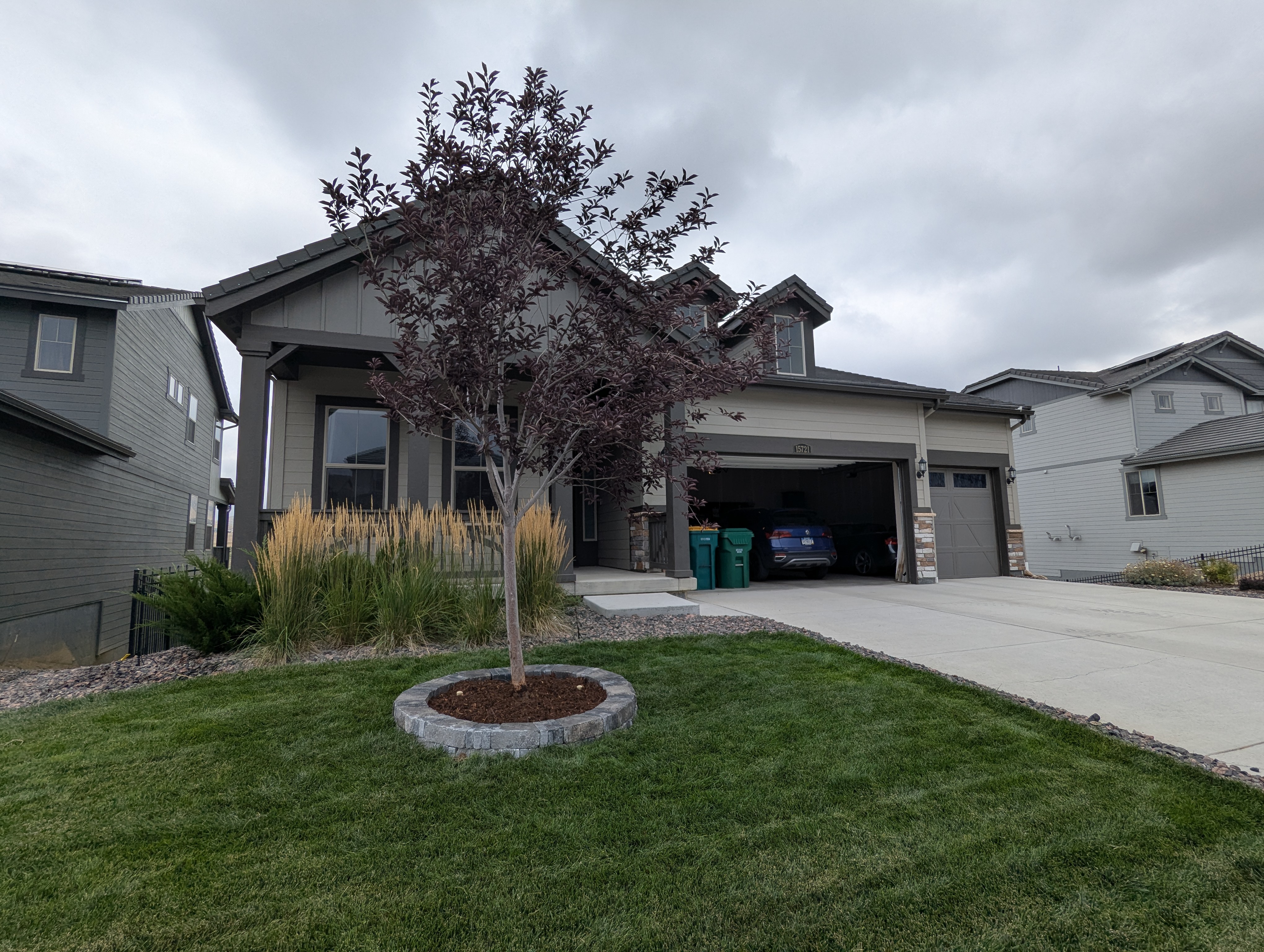 Tree Ring, Home Improvement, Morrison, Colorado